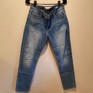 Lucky Brand Brooke Skinny Jeans